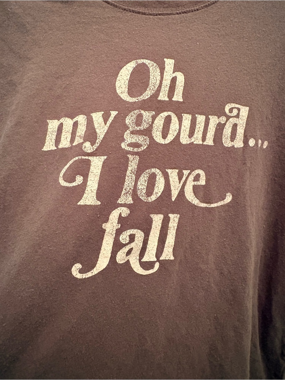 Fifth Sun “Oh My Gourd… I Love Fall” Graphic Tee XXL